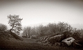 Paysage 23_12_11n01